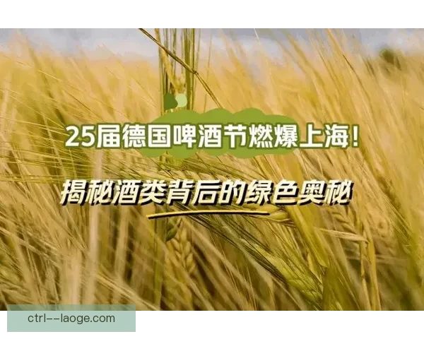 2026世界杯官方指定啤酒品牌推出限量纪念款庆祝全球盛事